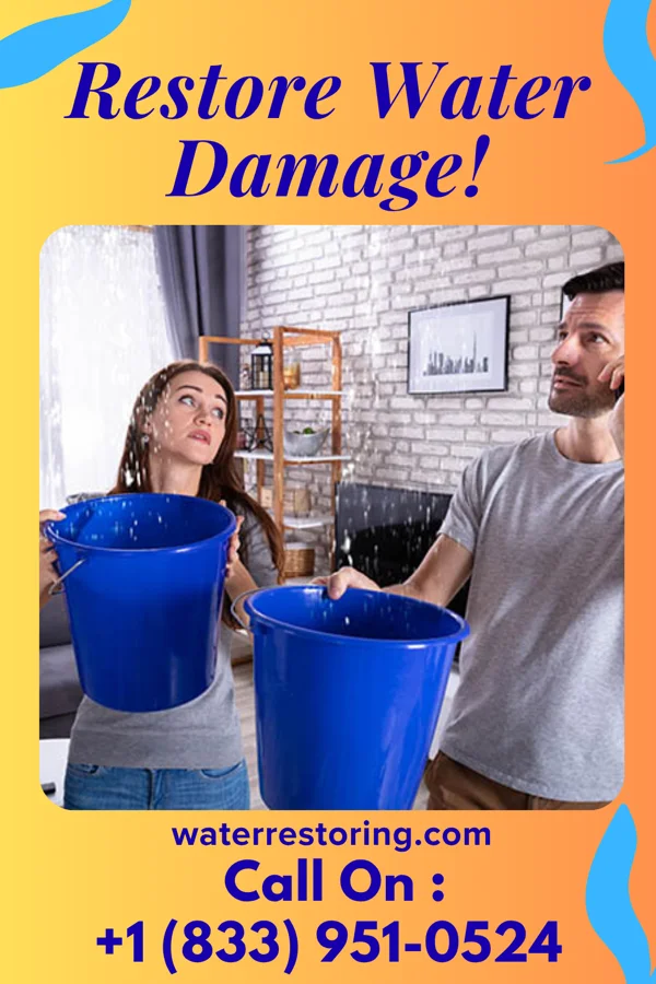 water restoration Trusted Water Damage Force Ainaloa