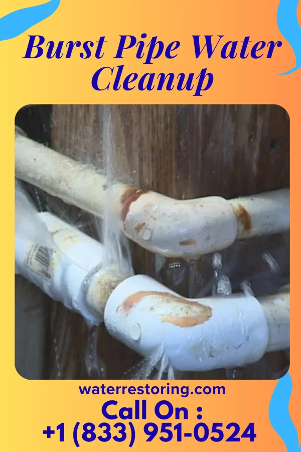 Burst Pipe Water Cleanup in Ainaloa, HI