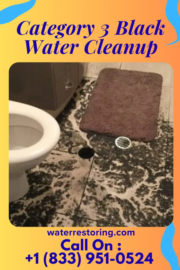Category 3 Black Water Cleanup in Ainaloa, HI