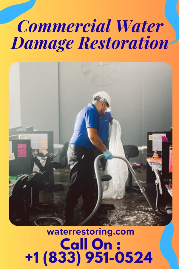 Commercial Water Damage Restoration in Ainaloa, HI