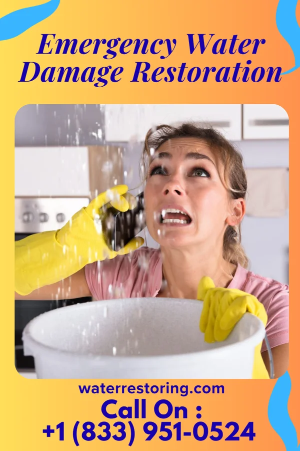Emergency Water Damage Restoration in Ainaloa, HI