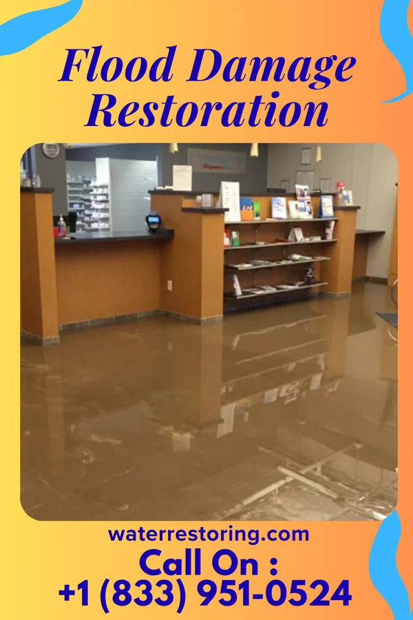 Flood Damage Restoration in Ainaloa, HI