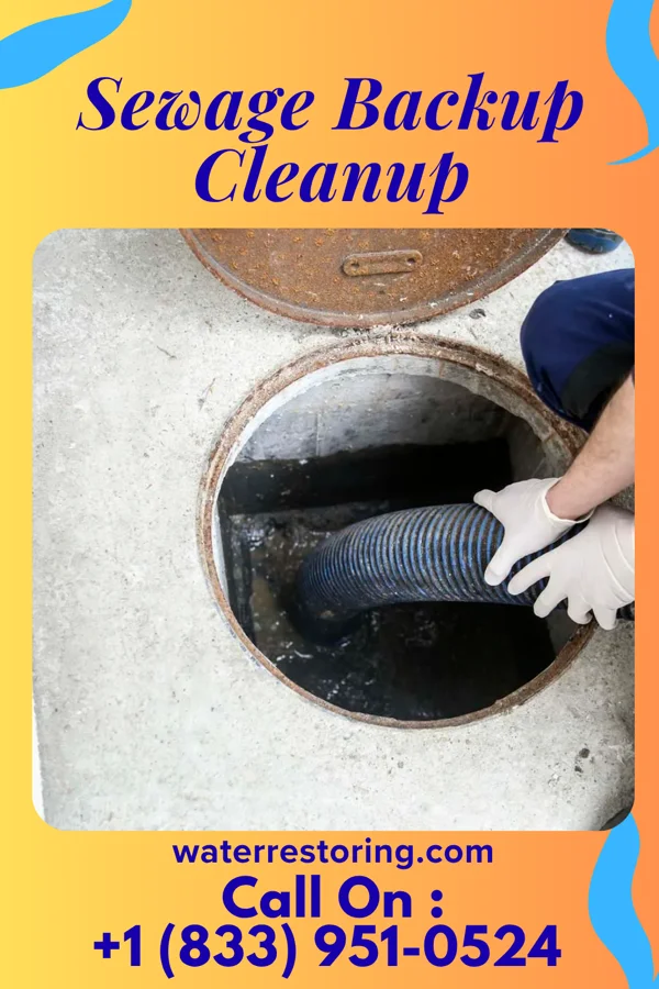 Sewage Backup Cleanup in Ainaloa, HI
