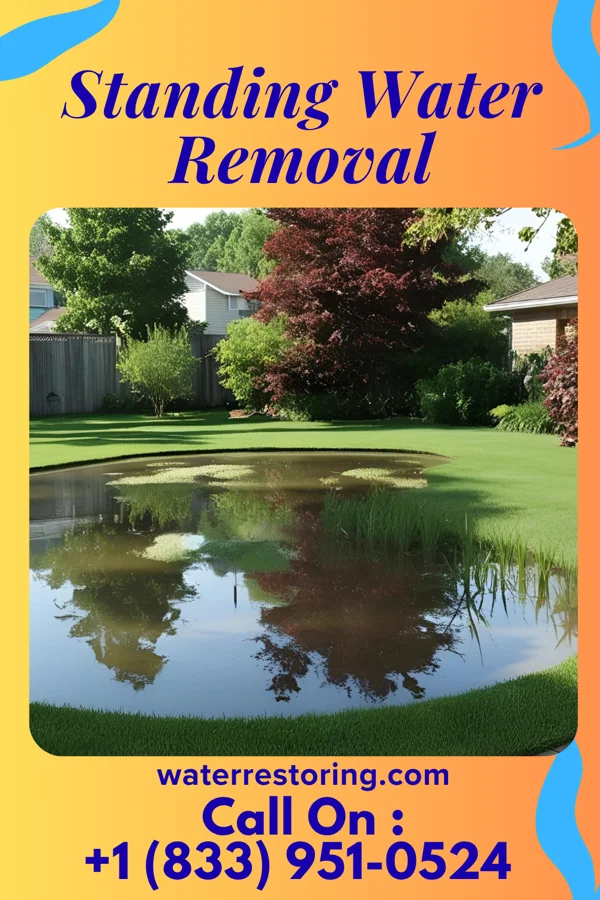 Standing Water Removal in Ainaloa, HI